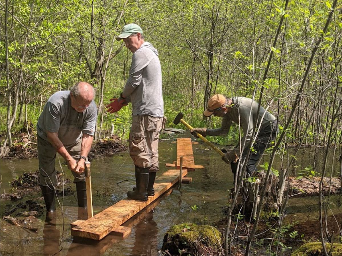 Trail repairs