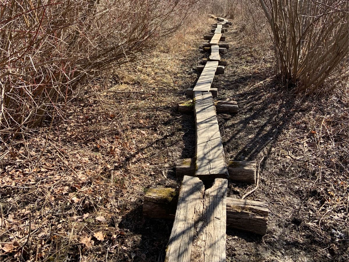 Bog Bridge