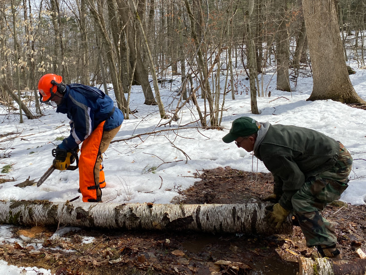 Volunteers cut and remove fallen trees from the trail