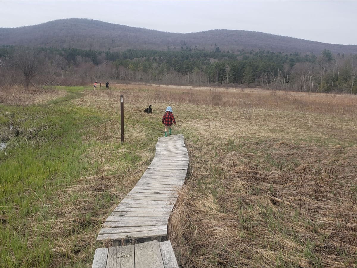 Boardwalk on the A.T.