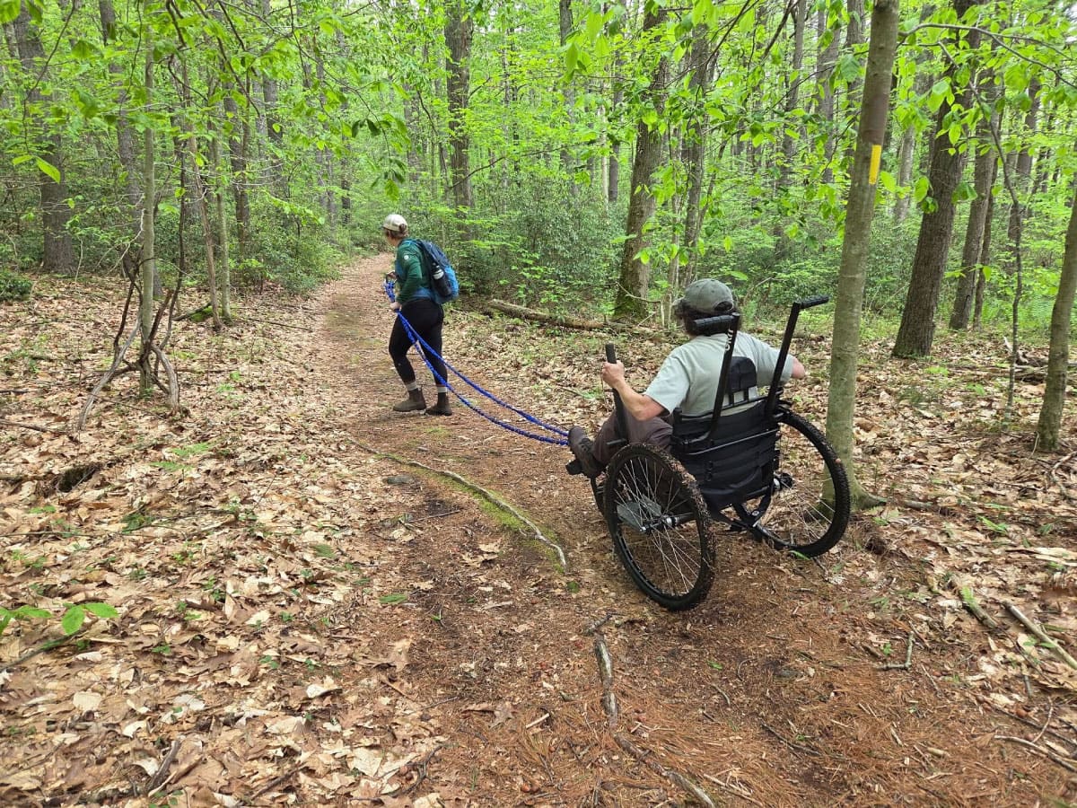 Wheelchair hiker on a forest trail