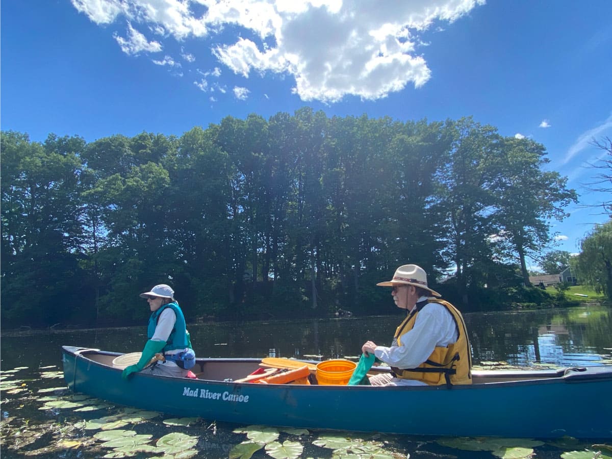 Canoeists looking for water chestnut