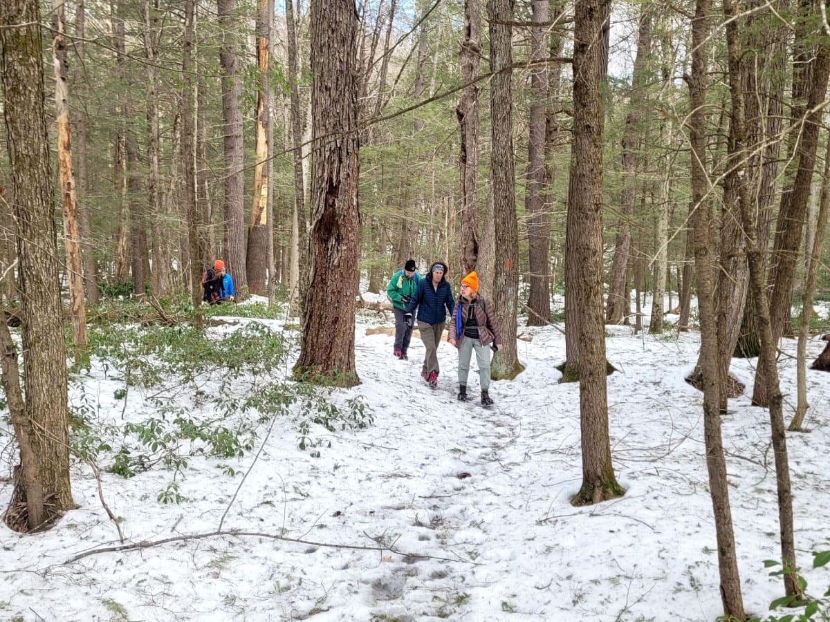 Hikers