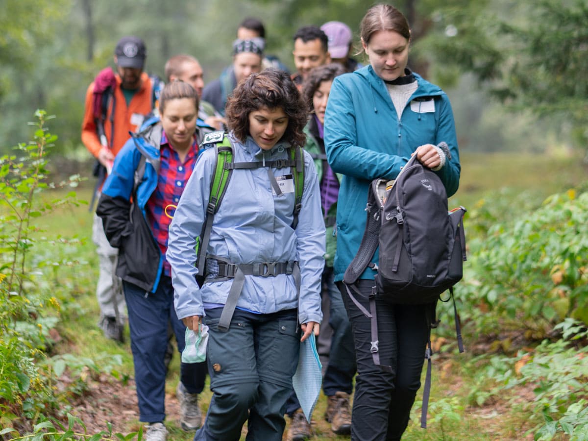 Hikers