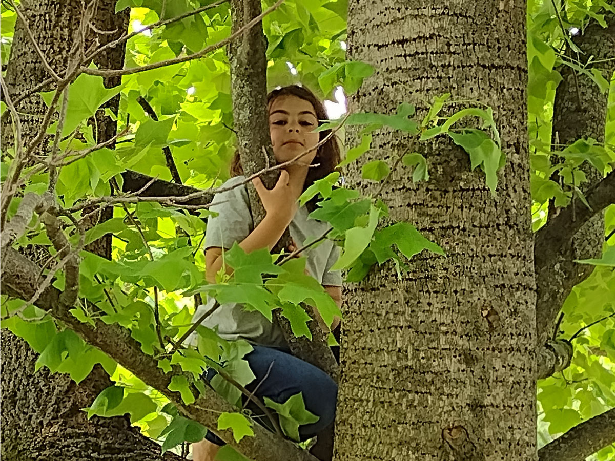 A girl in a tree