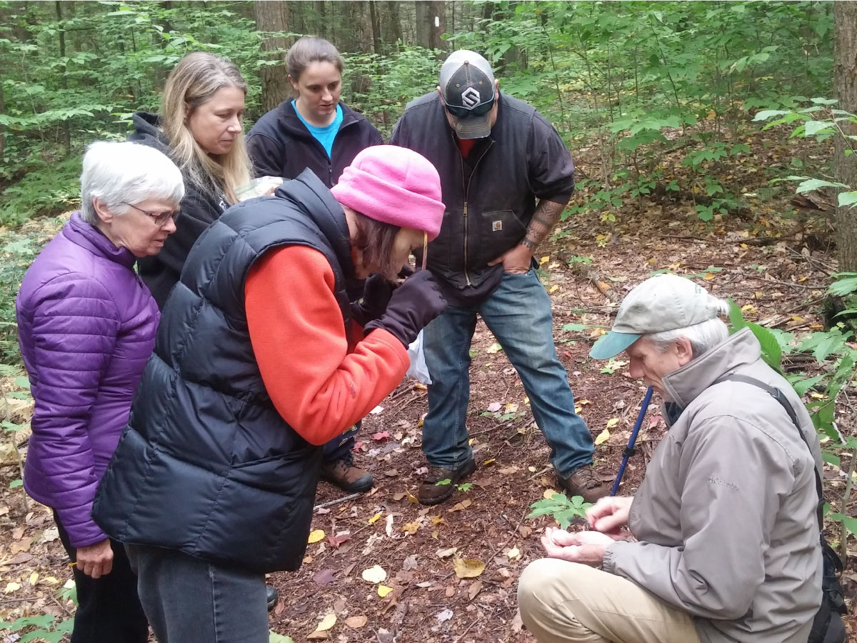 Group examining mushrooms