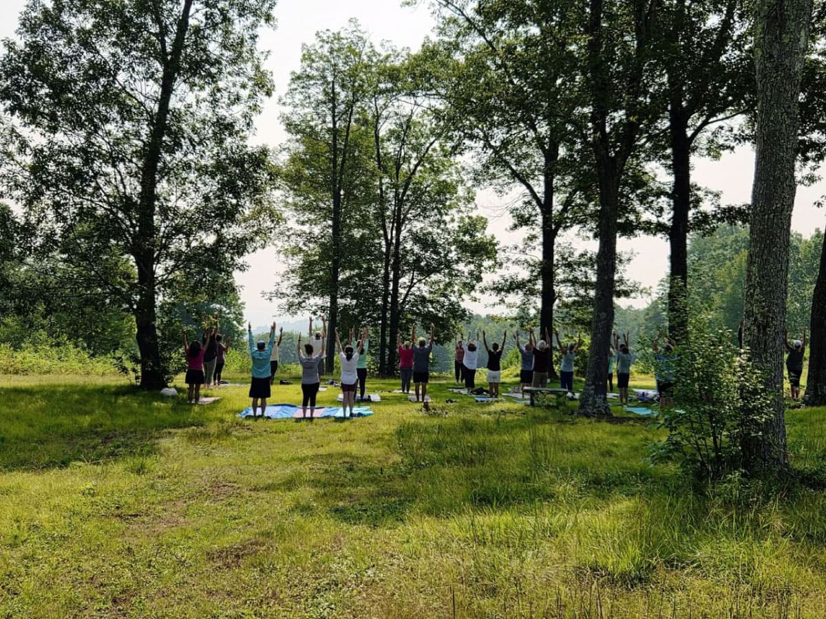 Yogis at Noble View