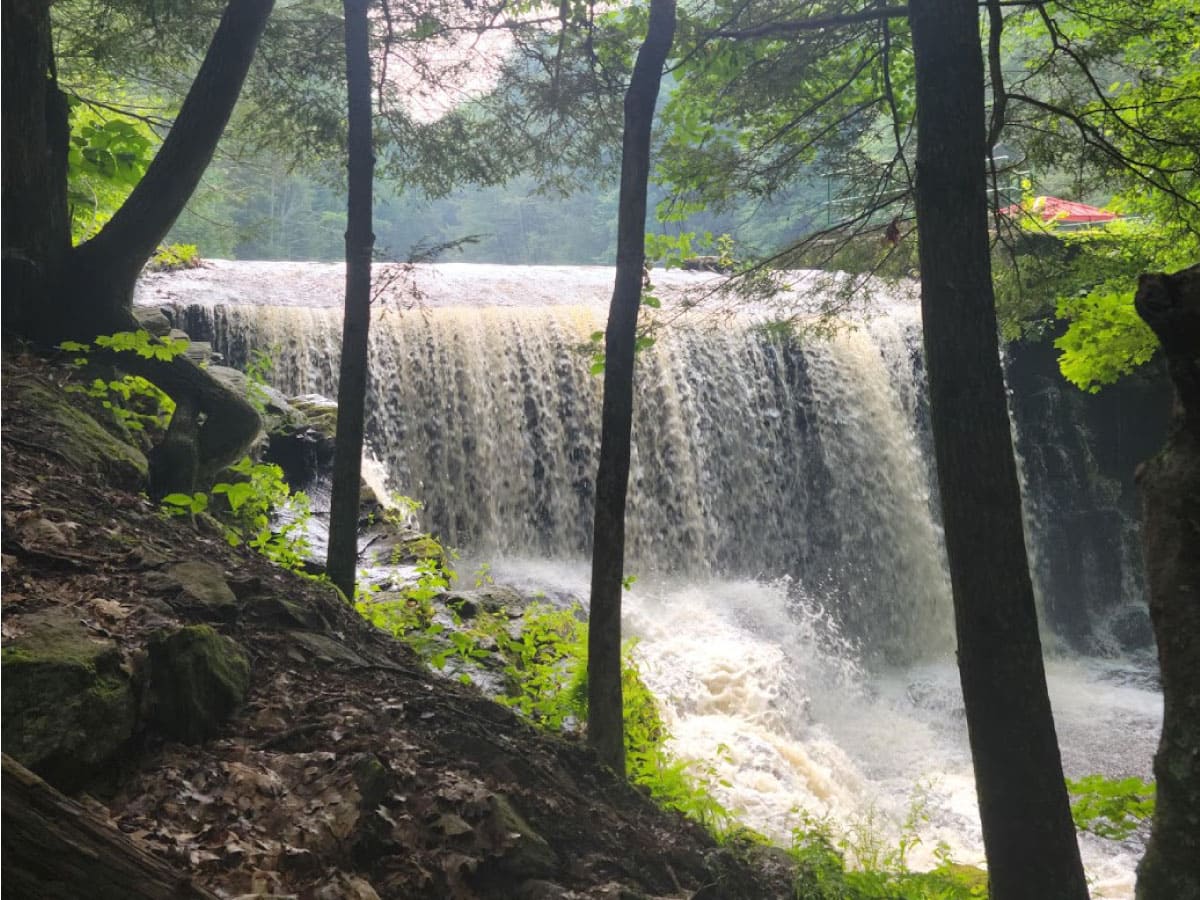View of Buffam Falls