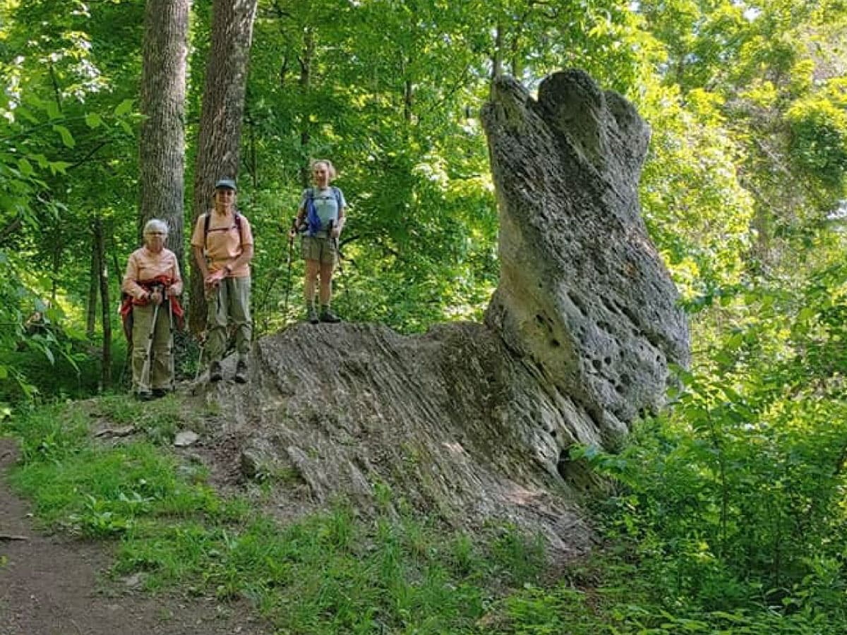 Hikers