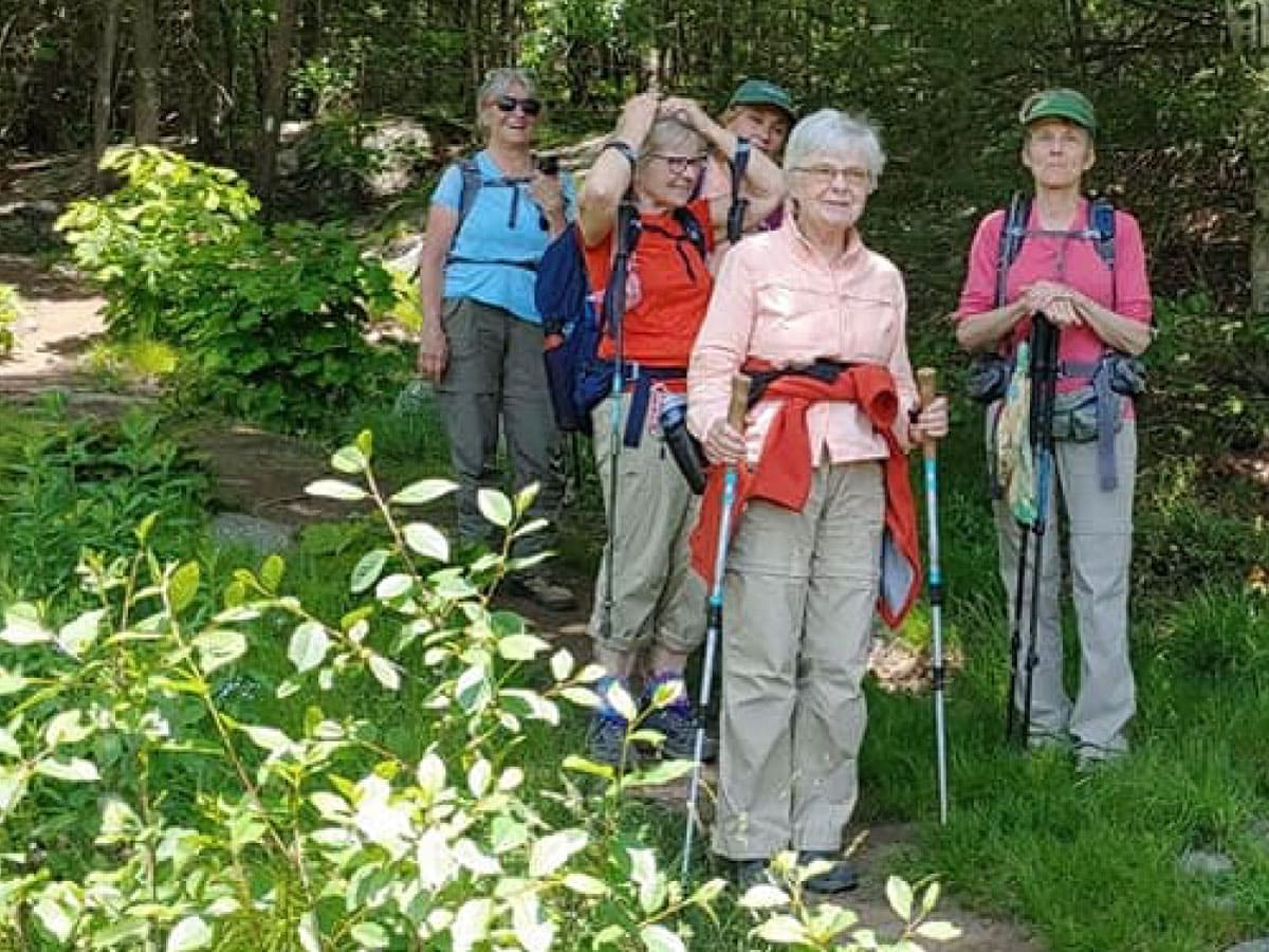 Hikers