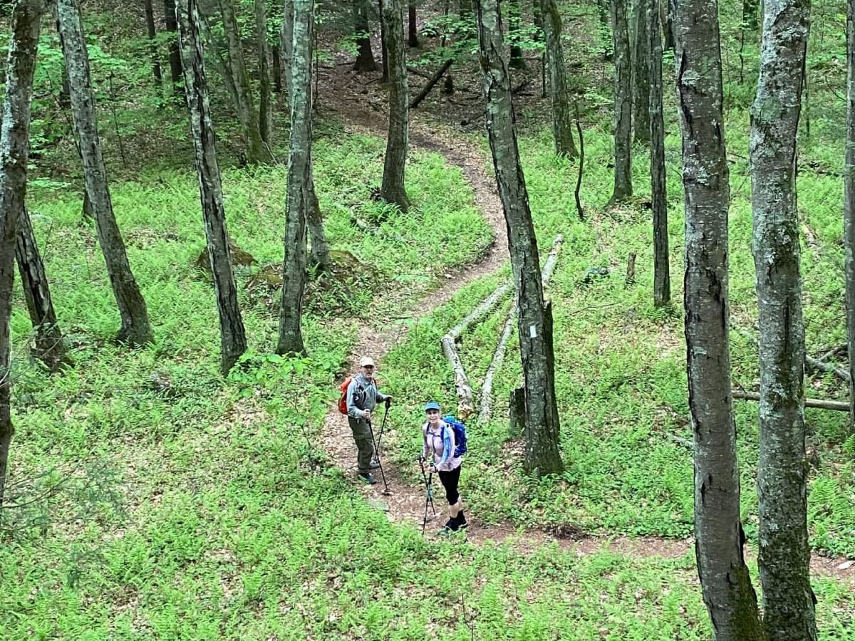 Two hikers