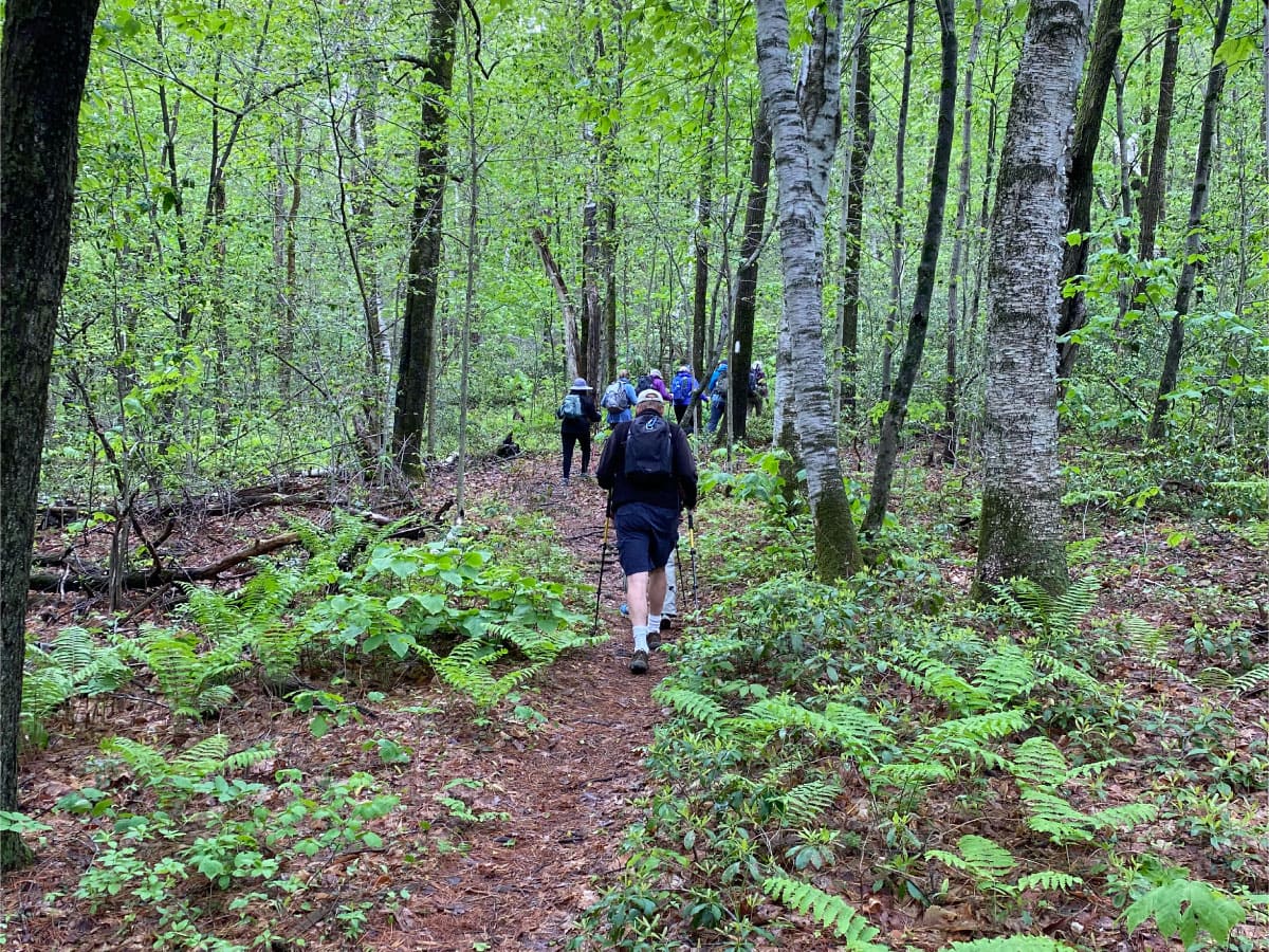Hikers