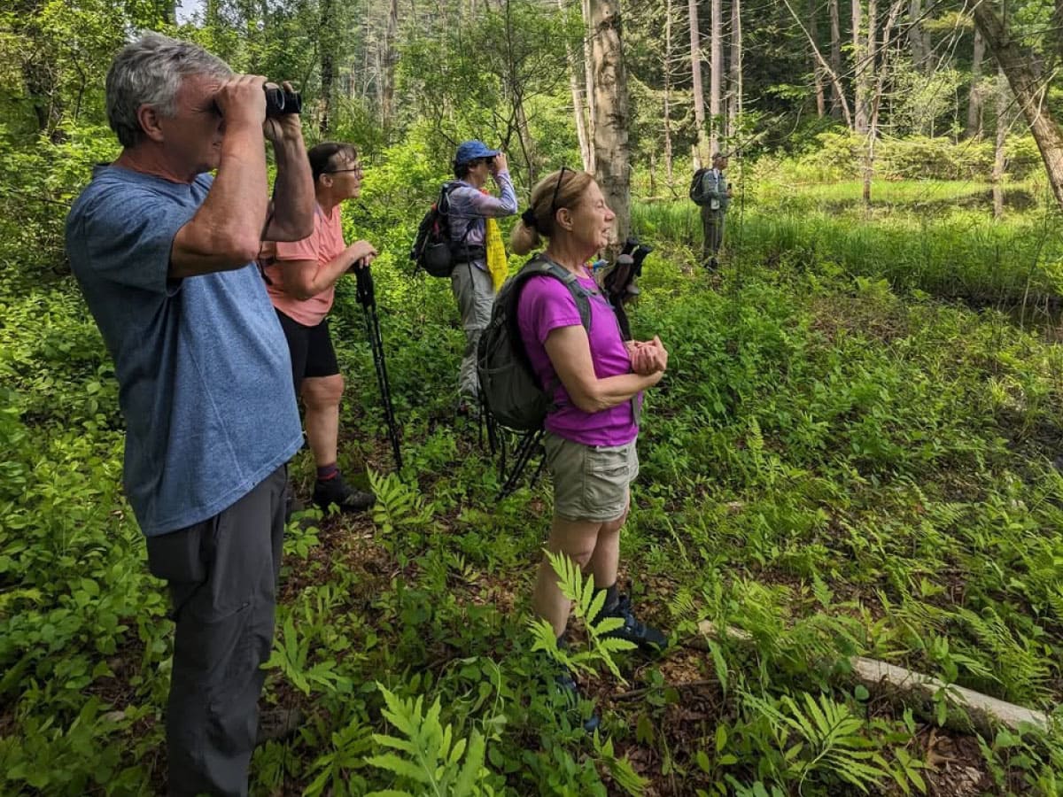 Hikers viewing a heron rookery