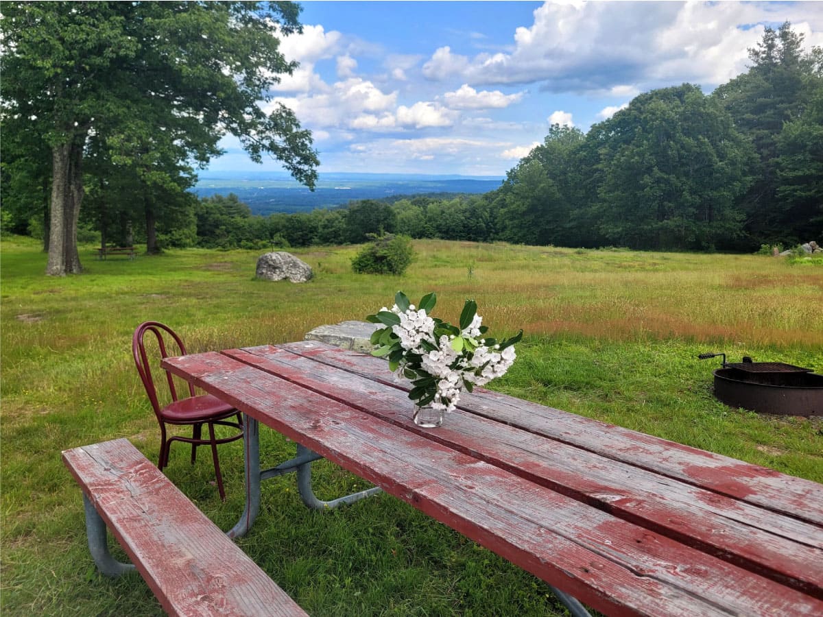 View from Noble View