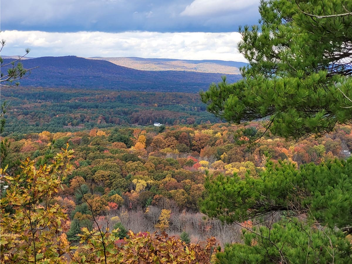 View from the NET Section 5 in fall