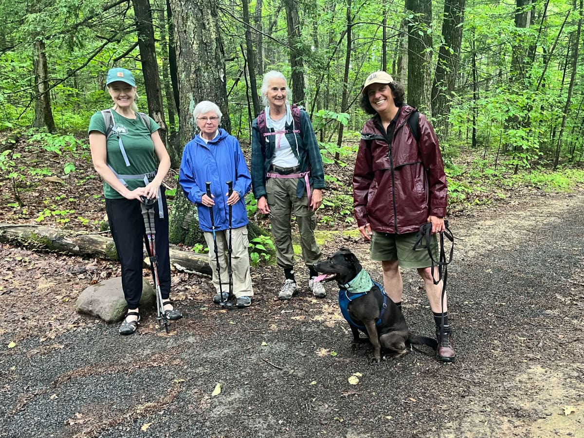 Hikers and a dog in the rain