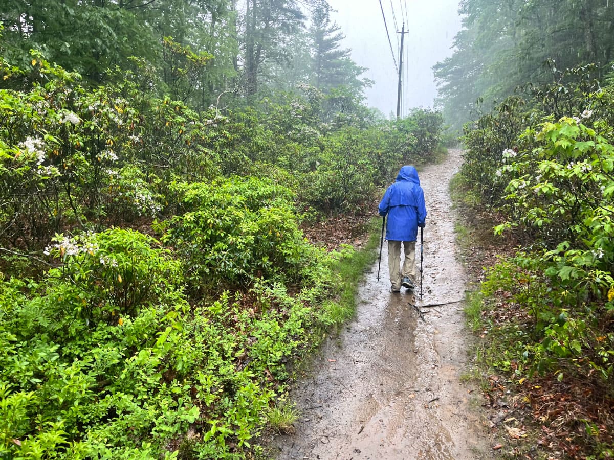 Hikers in the rain