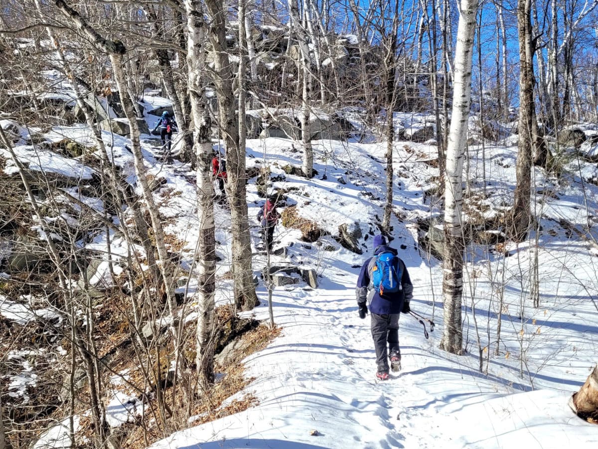 Hiker on a winter trail