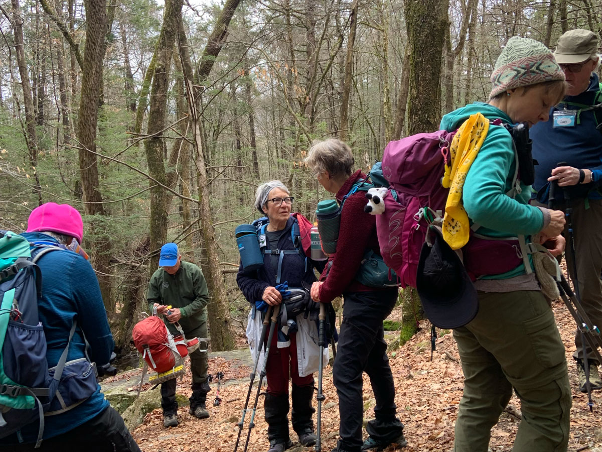 Hikers on the trail