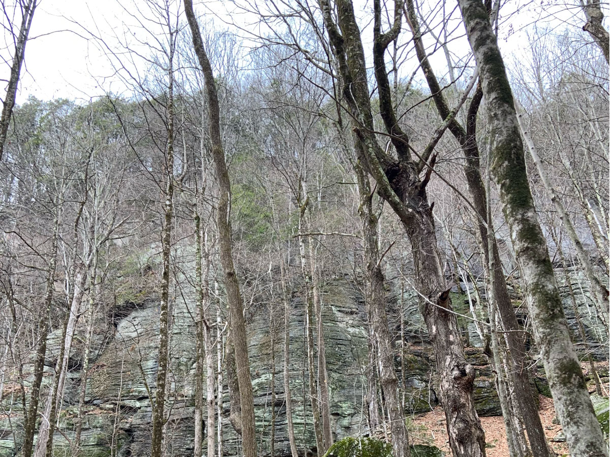 Rock cliff