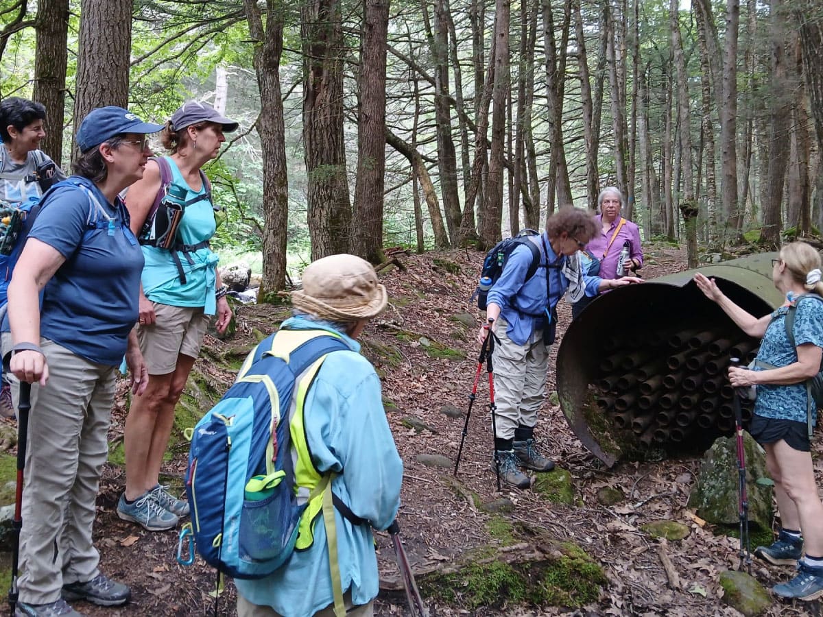 Hikers investigate metal remnants found in the woods