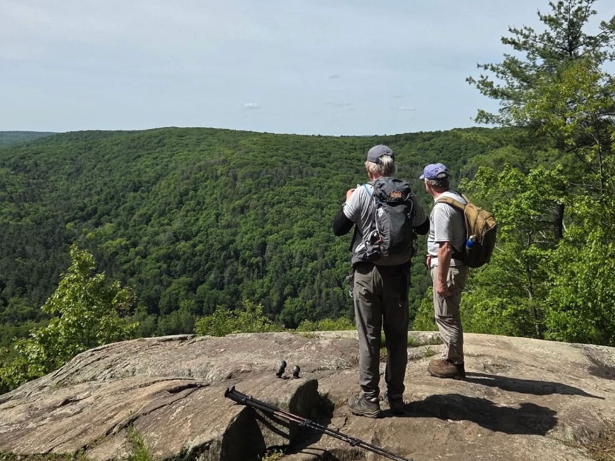 Hikers admiring the view
