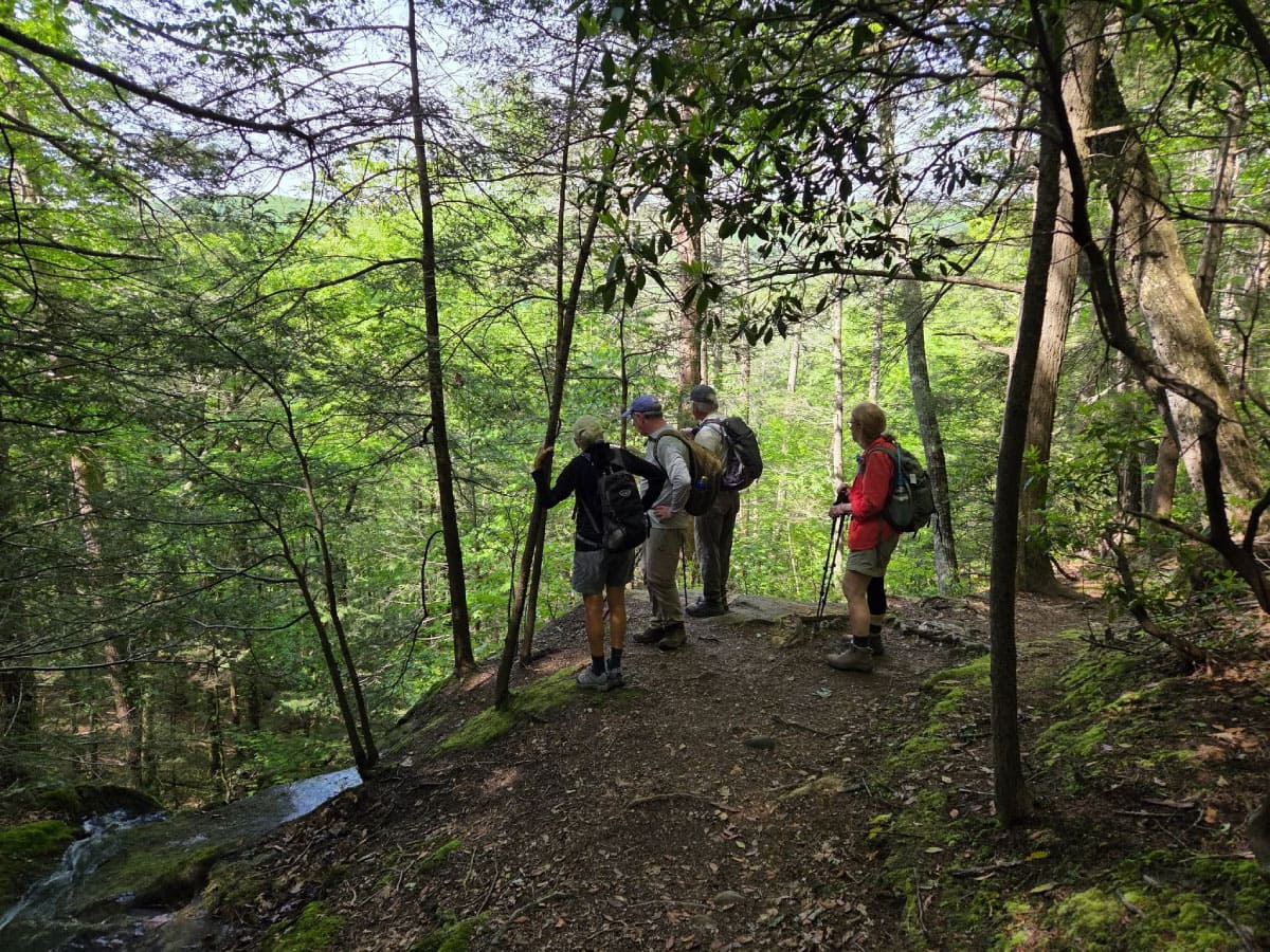 Hikers