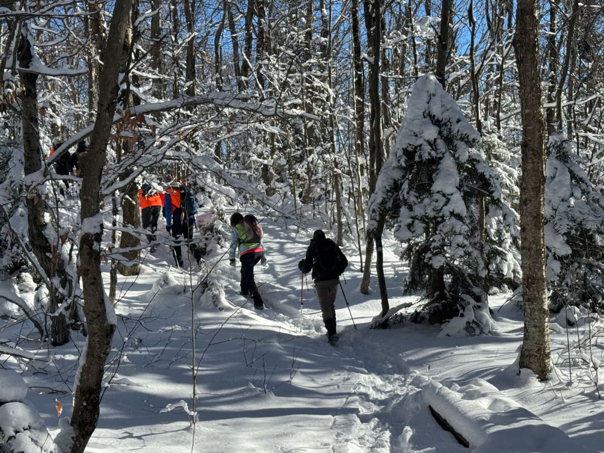 Hikers ascending a trail in winter