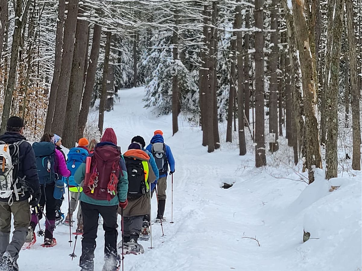 Snowshoers