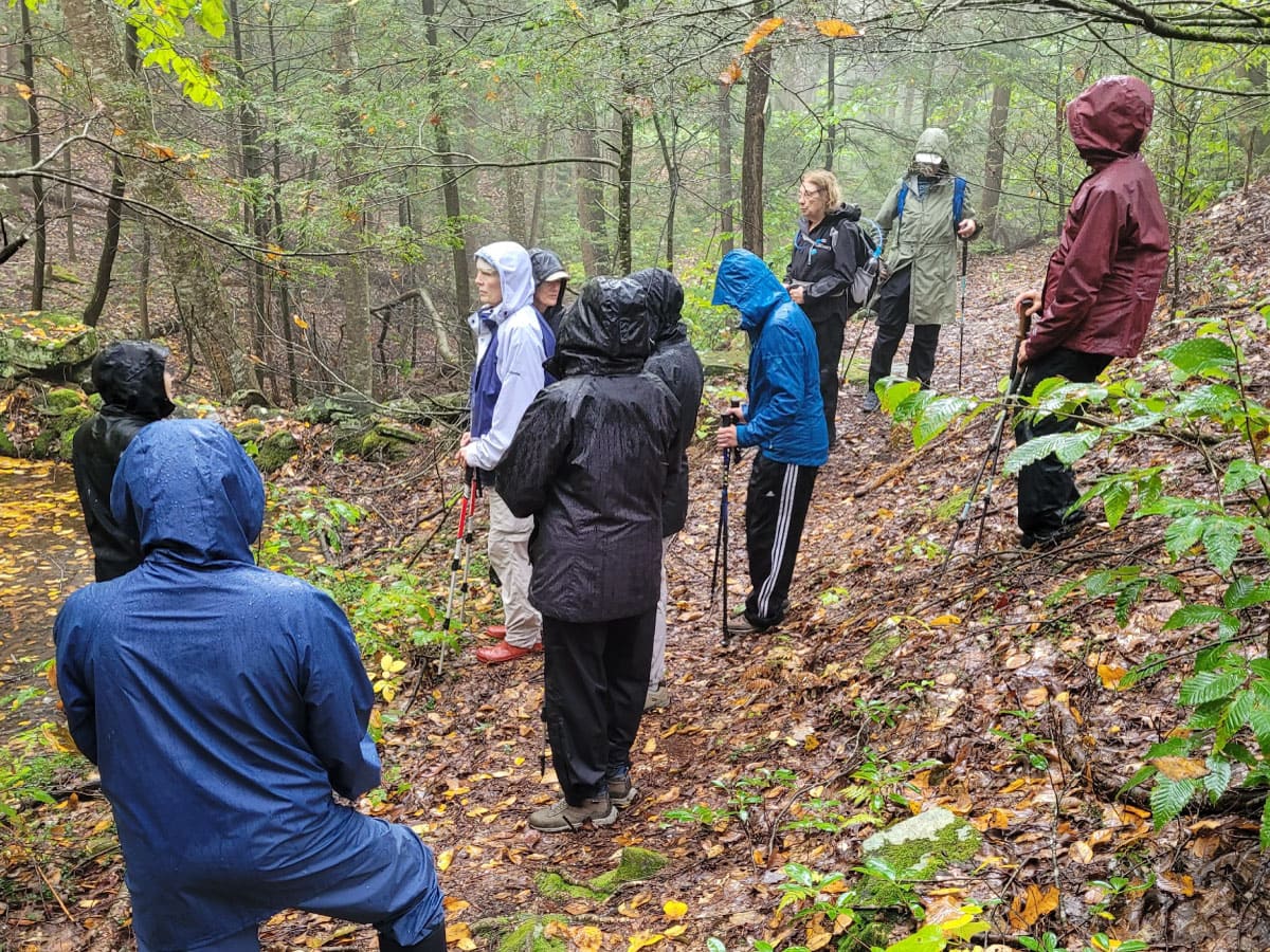 Women on a trail walk