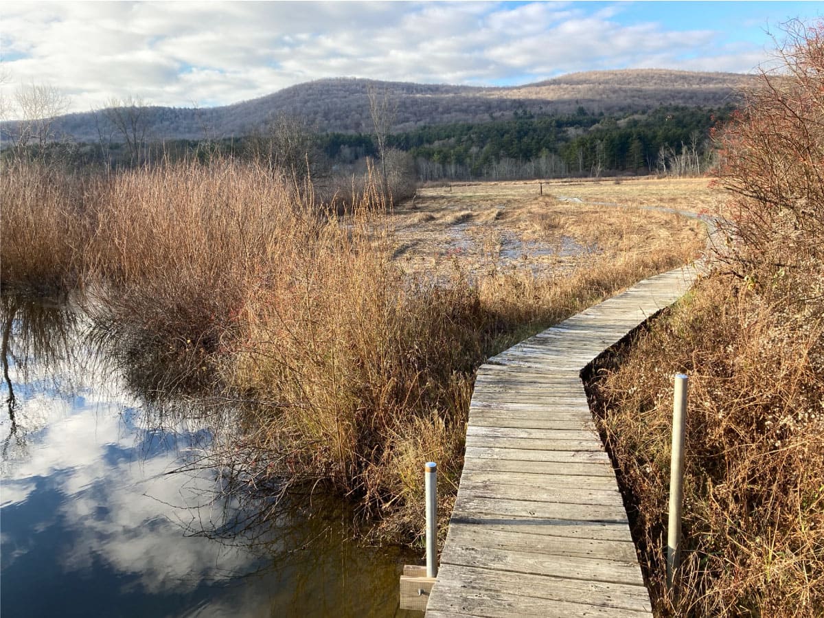 Boardwalk