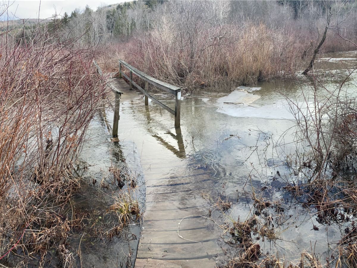 Partially submerged bridge