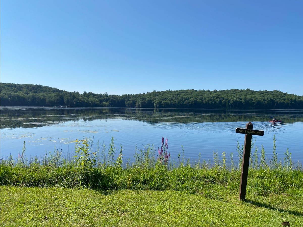 View of the river