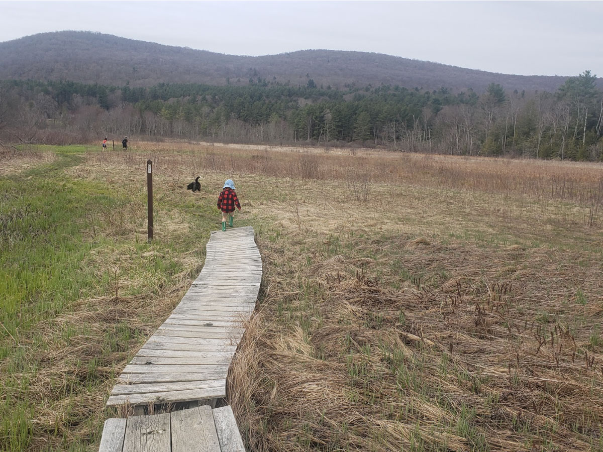 A small child walks a boardwalk on the A.T. in Massachusetts