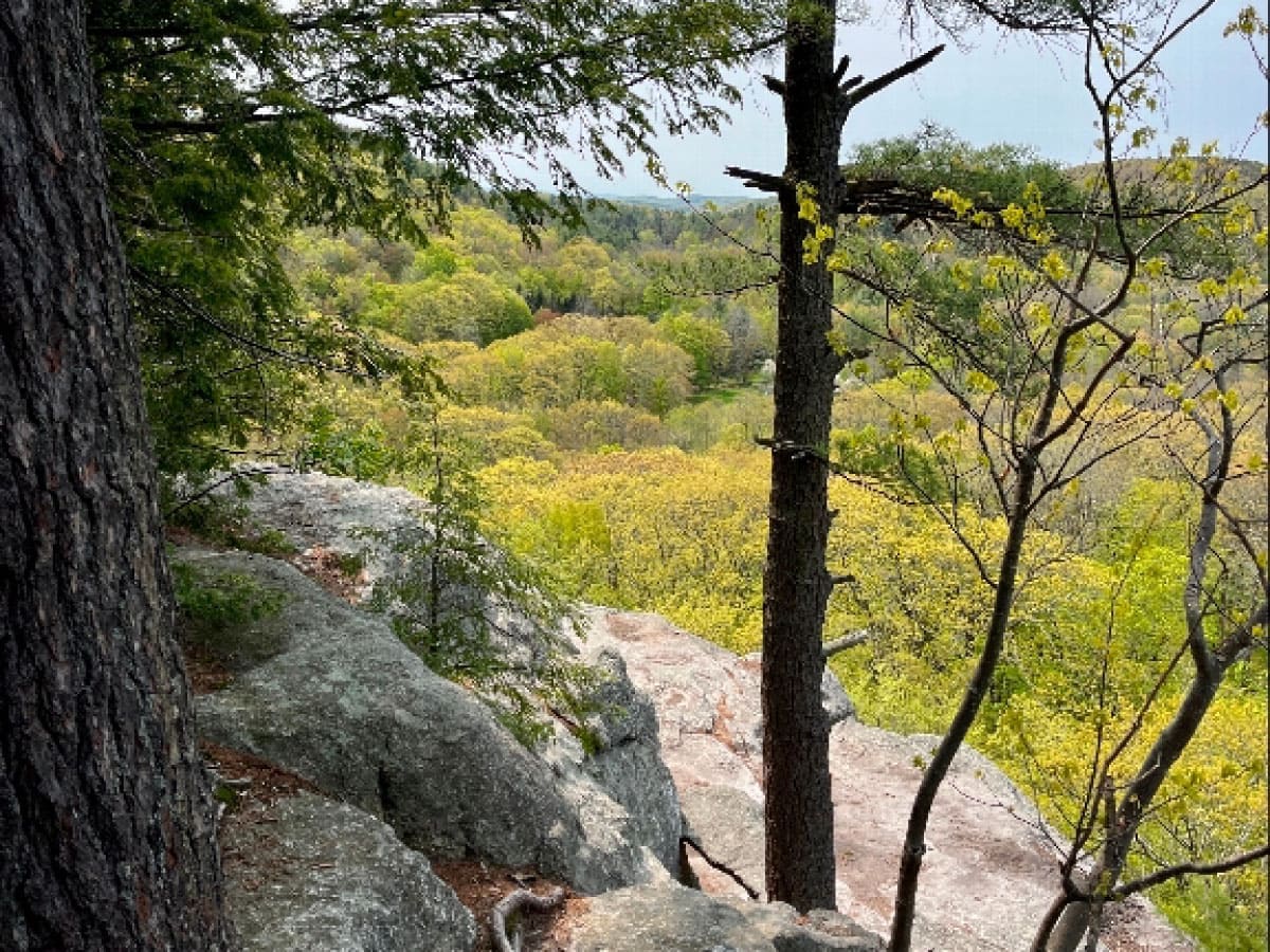 Trail