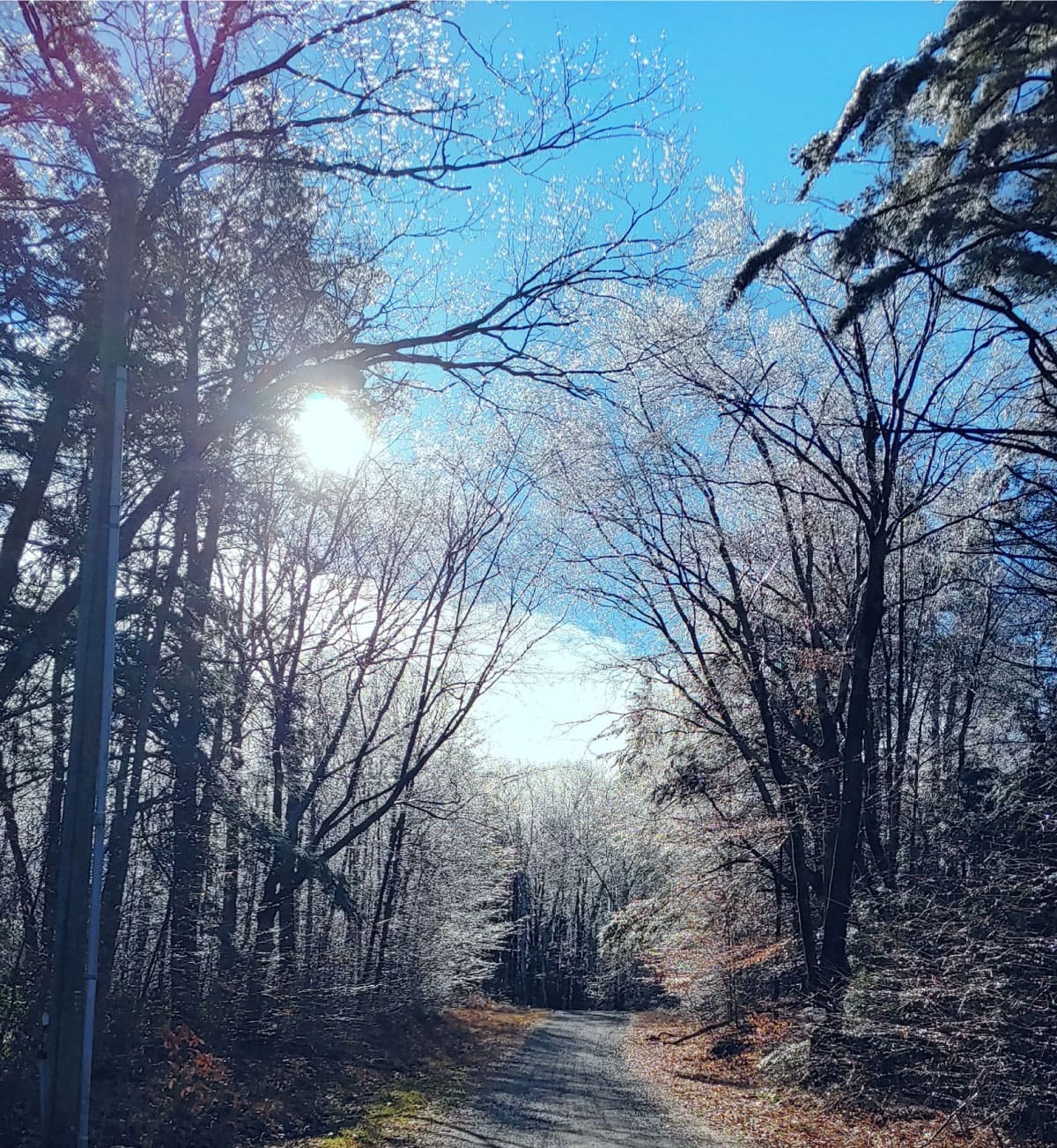 Entrance road to Noble View
