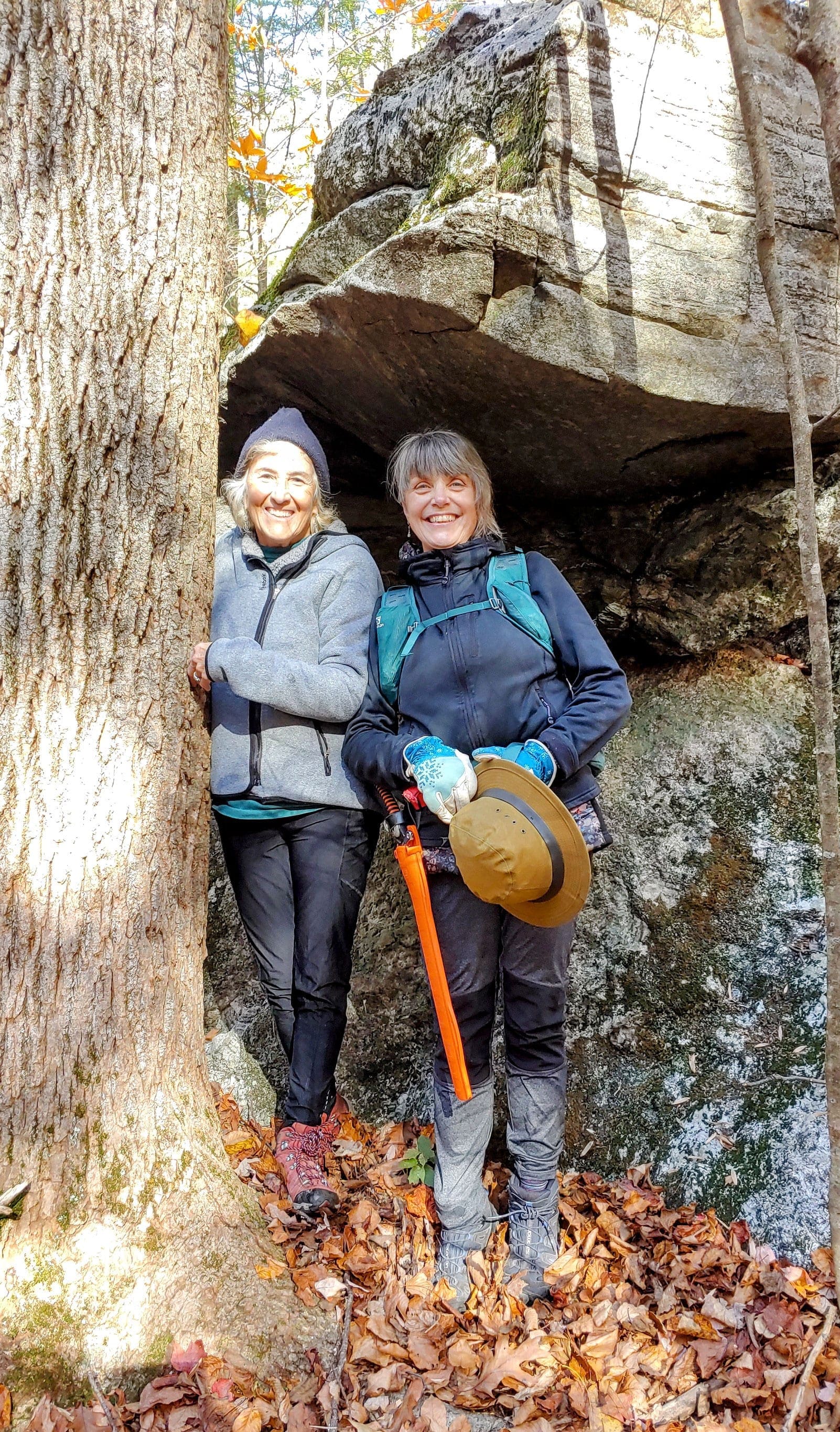 Glacial erratic