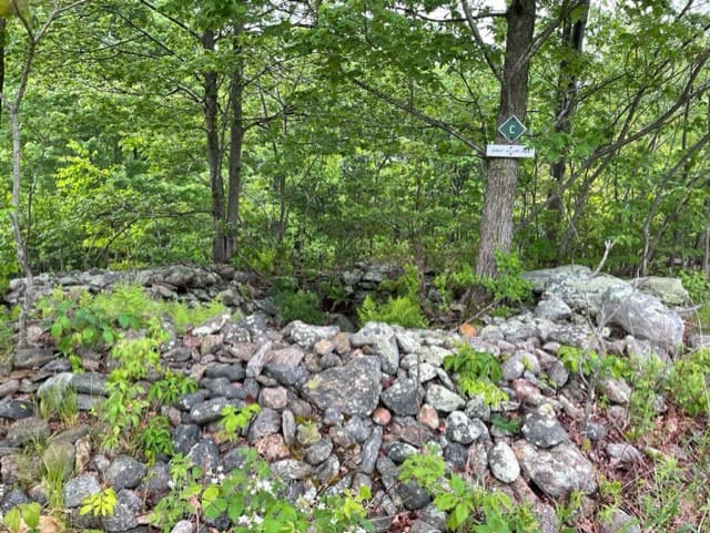 Remnants of the Gowdy cellar