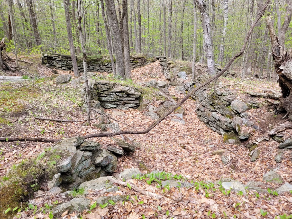Remnants of the Pendleton-Snow cellar