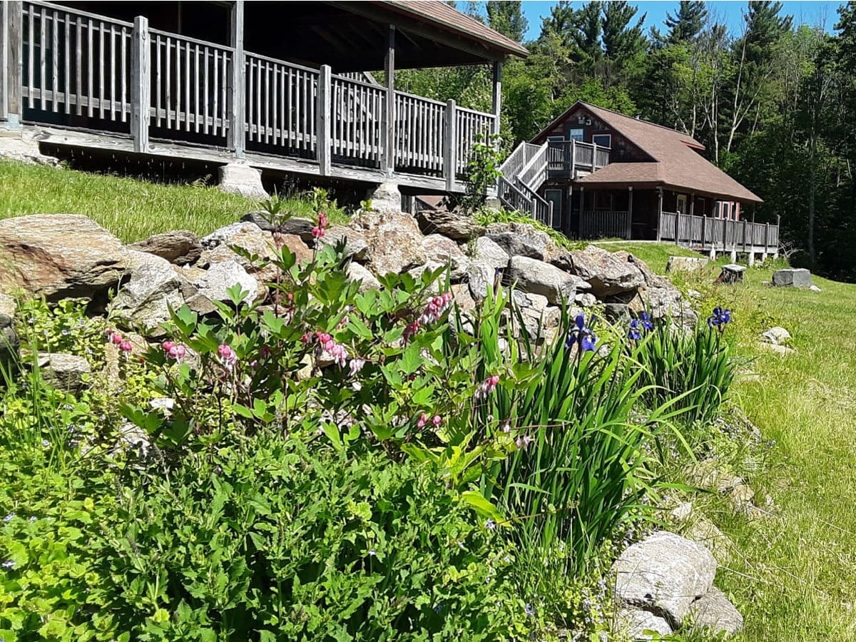Flowers at Noble View