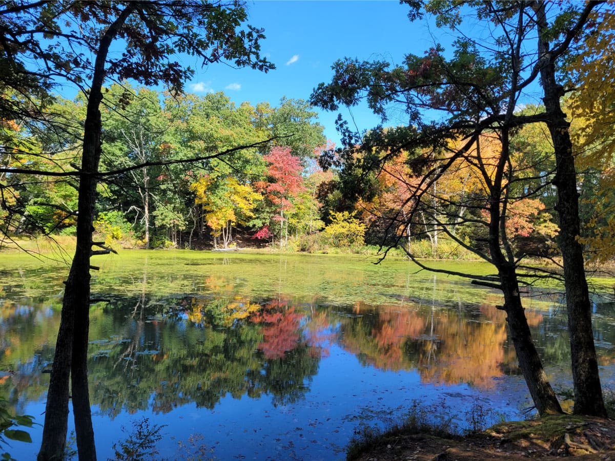 View of Nonotuck Park
