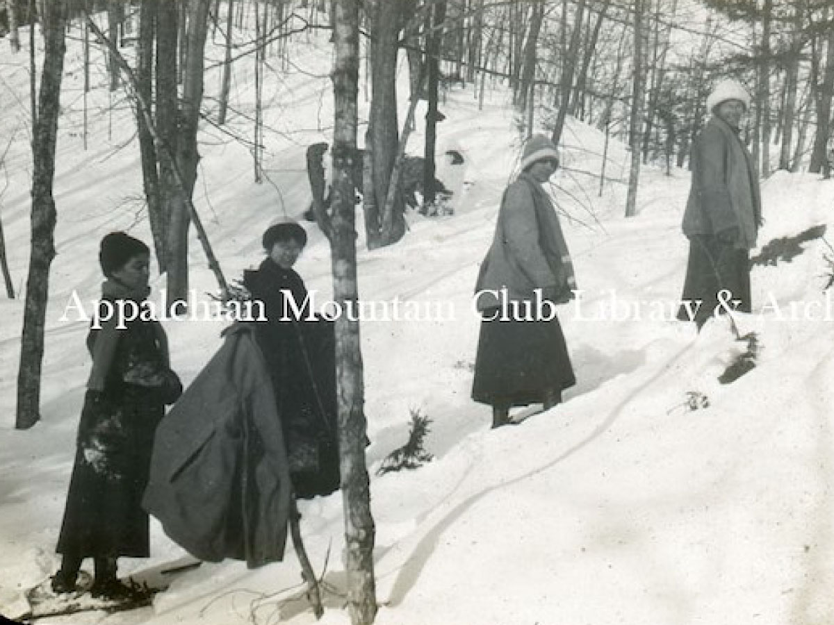 Snowshoers in the woods