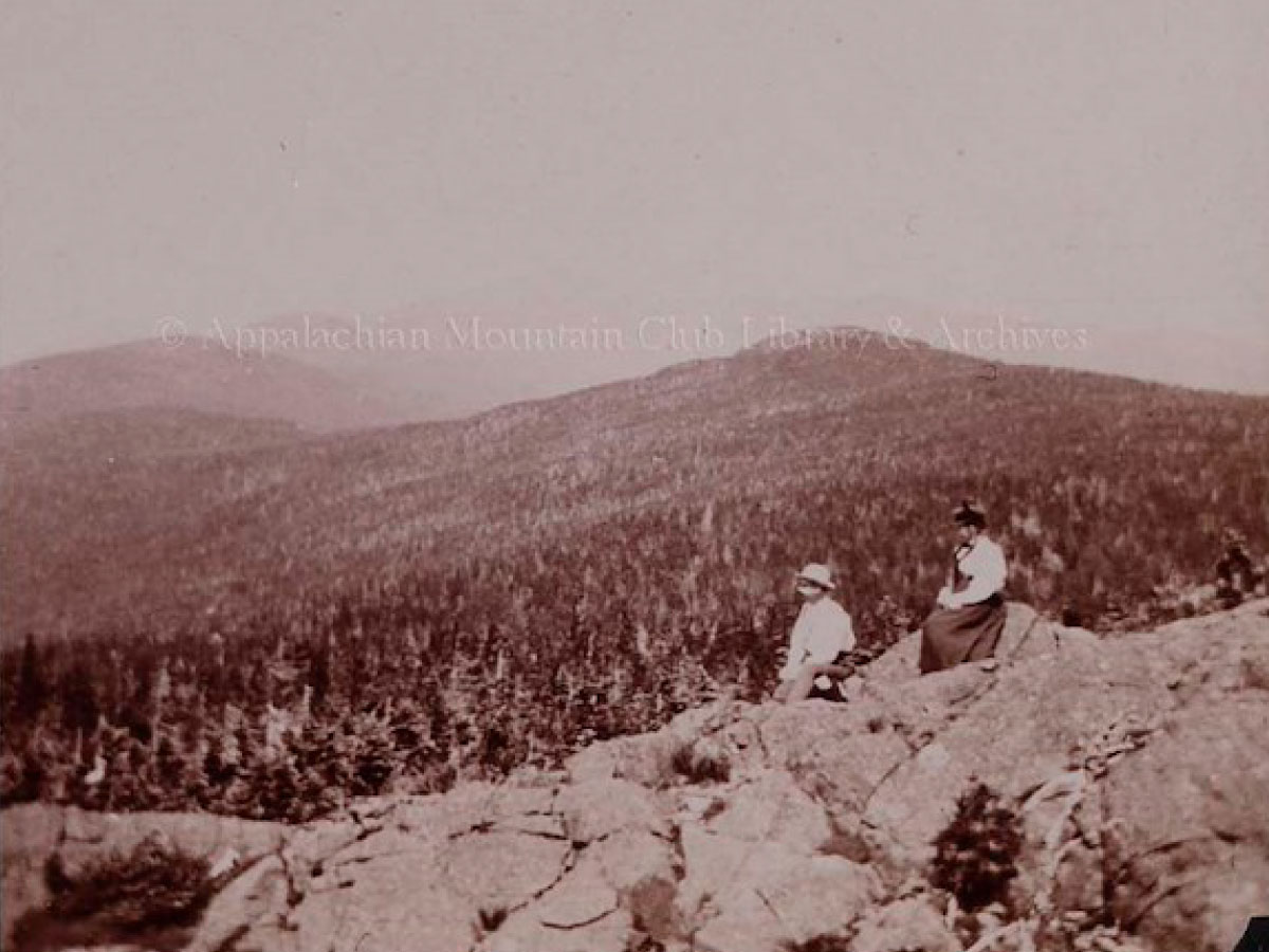 Hikers admiring the view