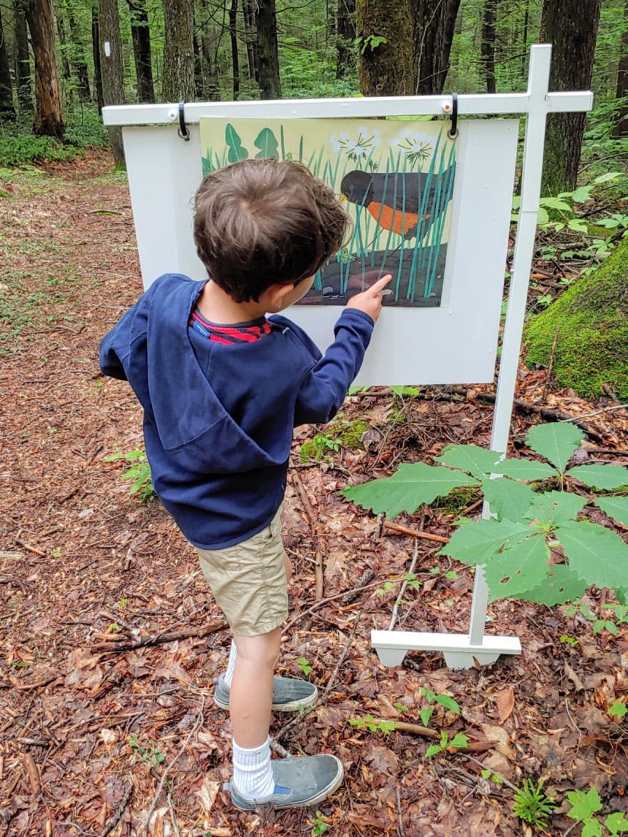 Child viewing StoryWalk board