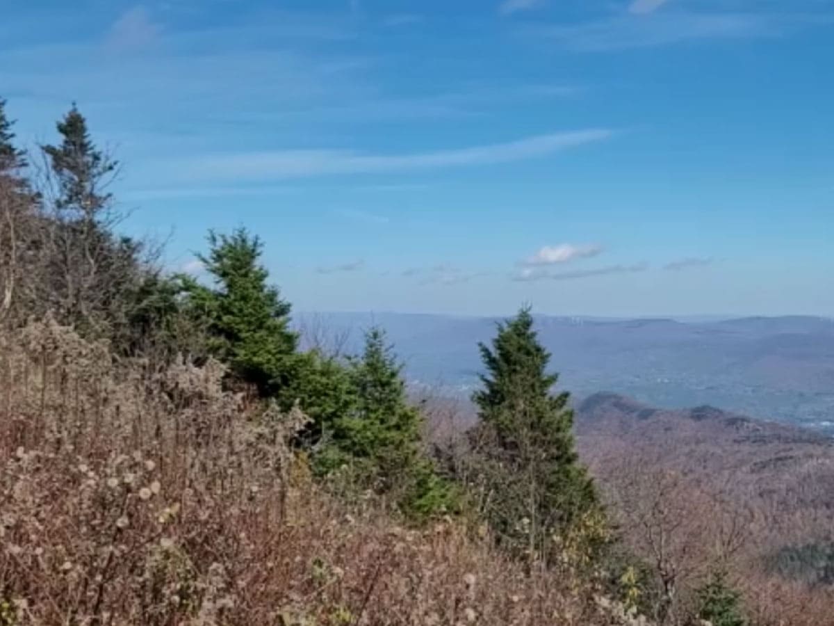 View from Mount Greylock