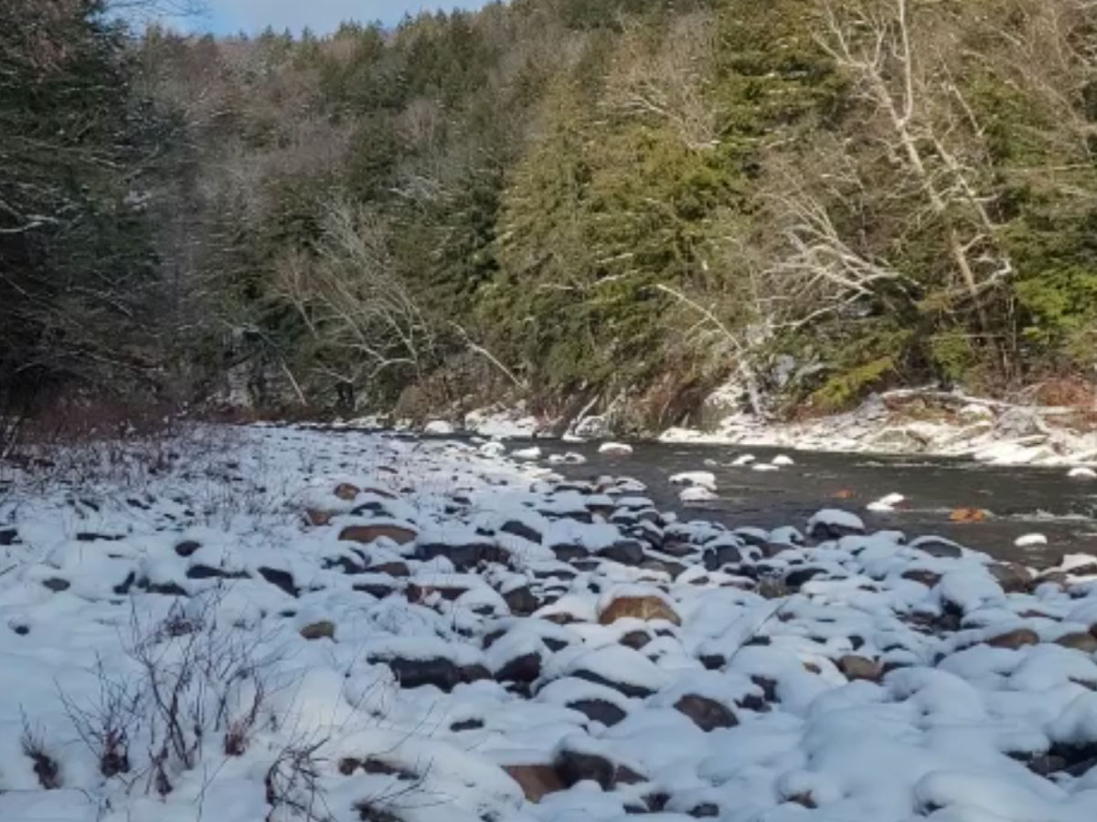 View of the Westfield River in winter